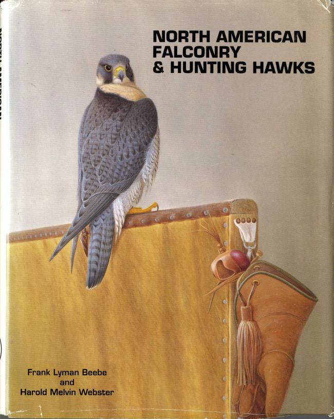 North American Falconry & Hunting Hawks by Frank Beebe and Harold Webster